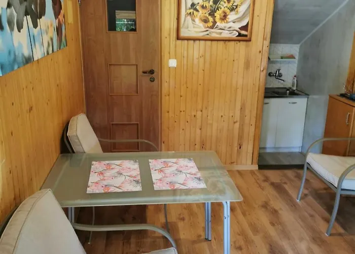 펜션 Pod Brzozami 코팔리노