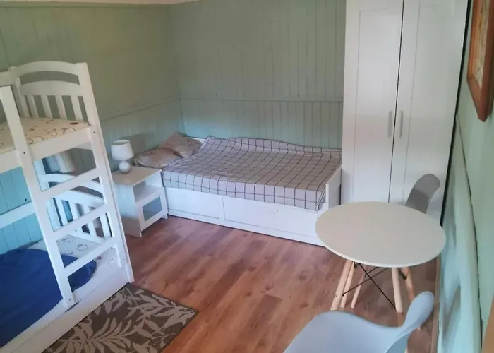 펜션 Pod Brzozami *